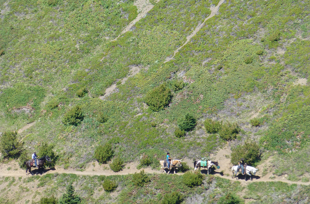 Horseback Riding